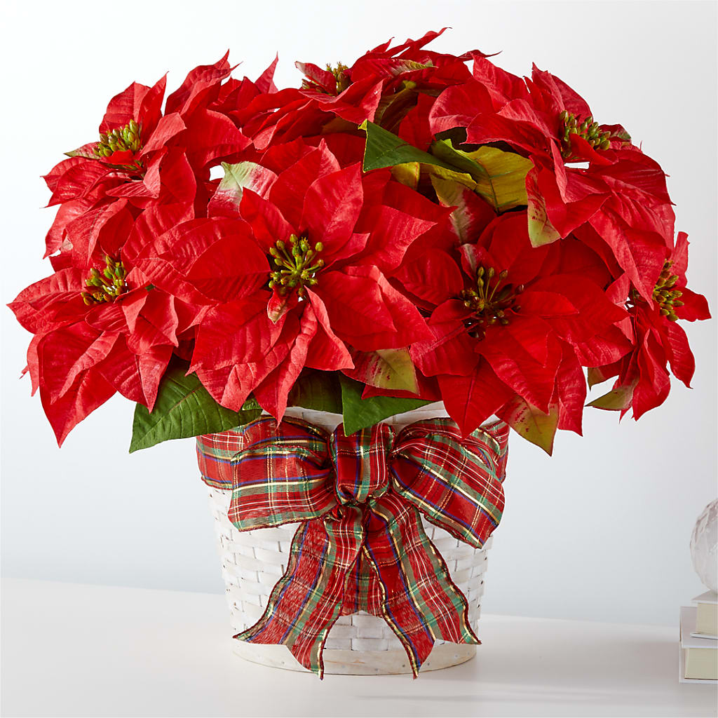 Happiest Holidays Poinsettia – SHINKLES' FLOWER SHOP & GREENHOUSE, Temperance MI