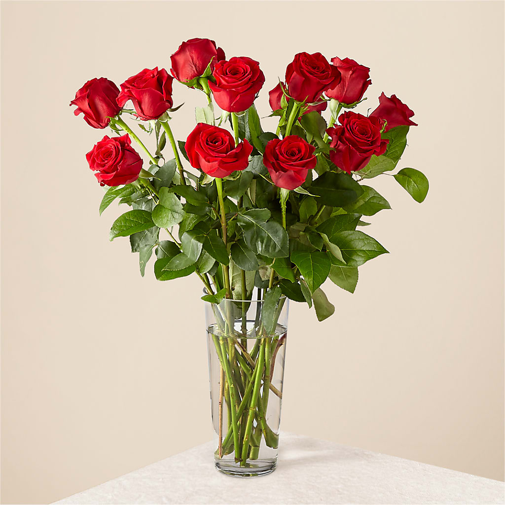 Long Stem Red Rose Bouquet – SHINKLES' FLOWER SHOP & GREENHOUSE, Temperance MI
