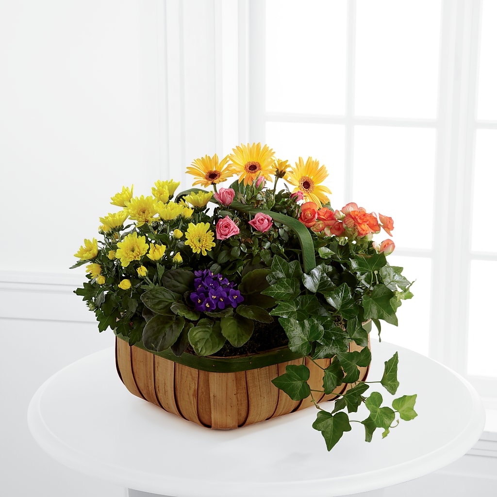 Gentle Blossoms Basket – SHINKLES' FLOWER SHOP & GREENHOUSE, Temperance MI