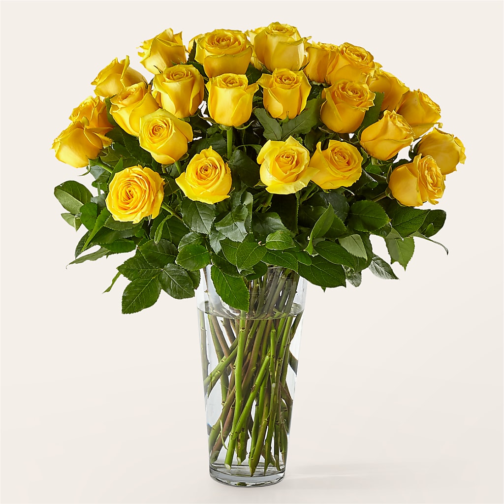 Long Stem Yellow Rose Bouquet – SHINKLES' FLOWER SHOP & GREENHOUSE, Temperance MI