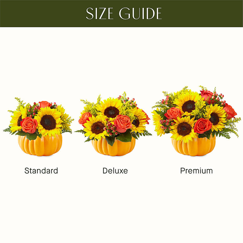 Pick of the Patch Pumpkin Bouquet – SHINKLES' FLOWER SHOP & GREENHOUSE, Temperance MI