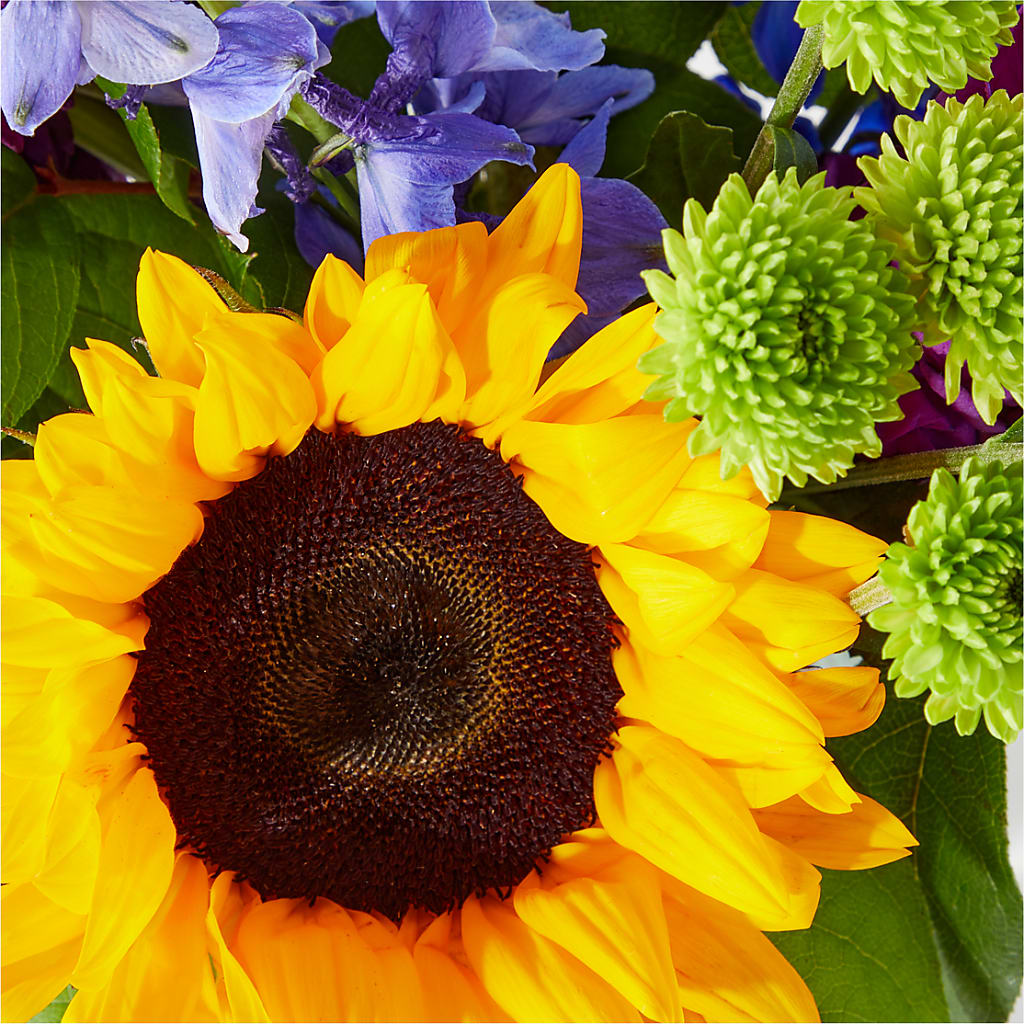 Catching Rays Bouquet – SHINKLES' FLOWER SHOP & GREENHOUSE, Temperance MI