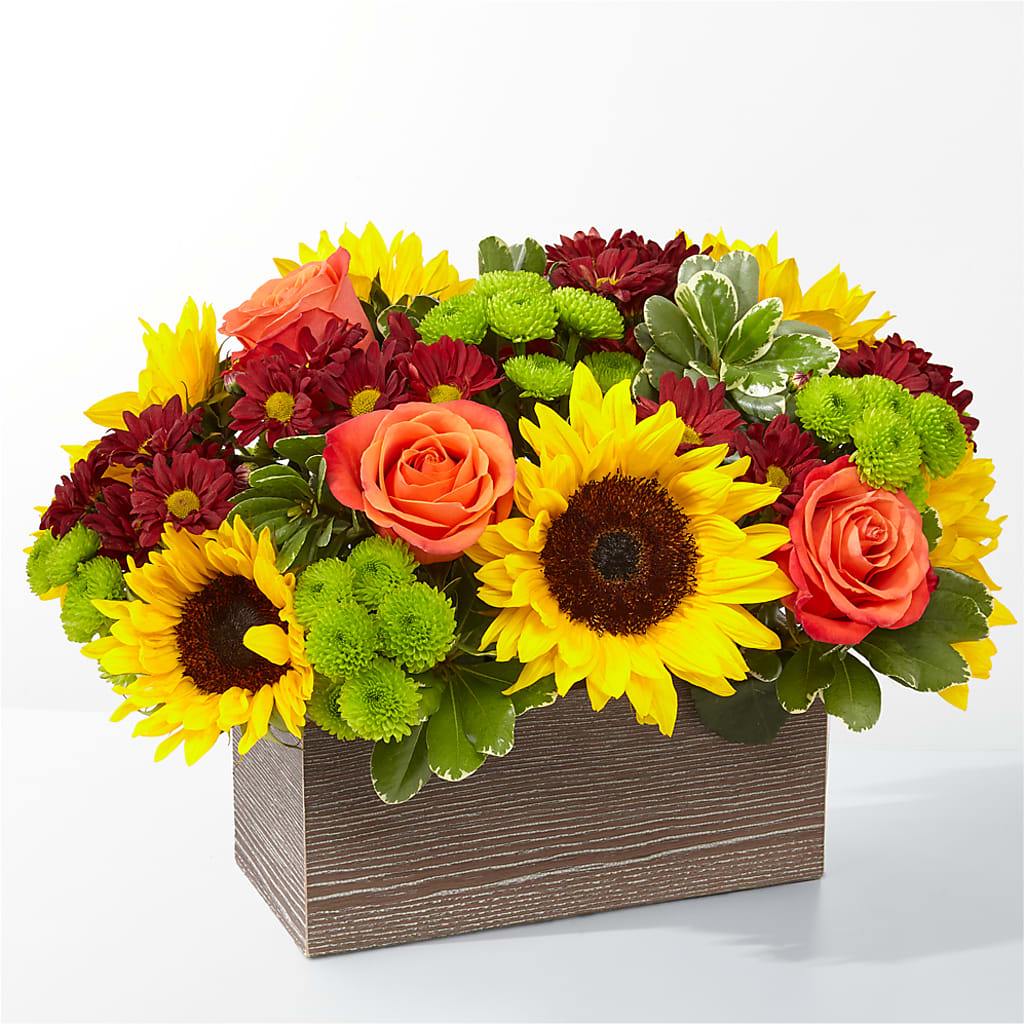 Happy Harvest Garden – SHINKLES' FLOWER SHOP & GREENHOUSE, Temperance MI