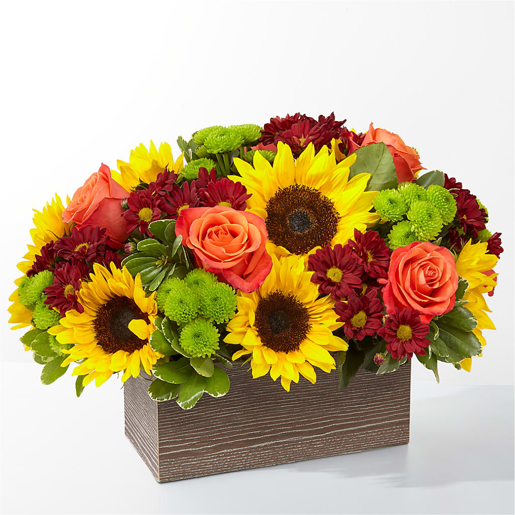 Happy Harvest Garden – SHINKLES' FLOWER SHOP & GREENHOUSE, Temperance MI