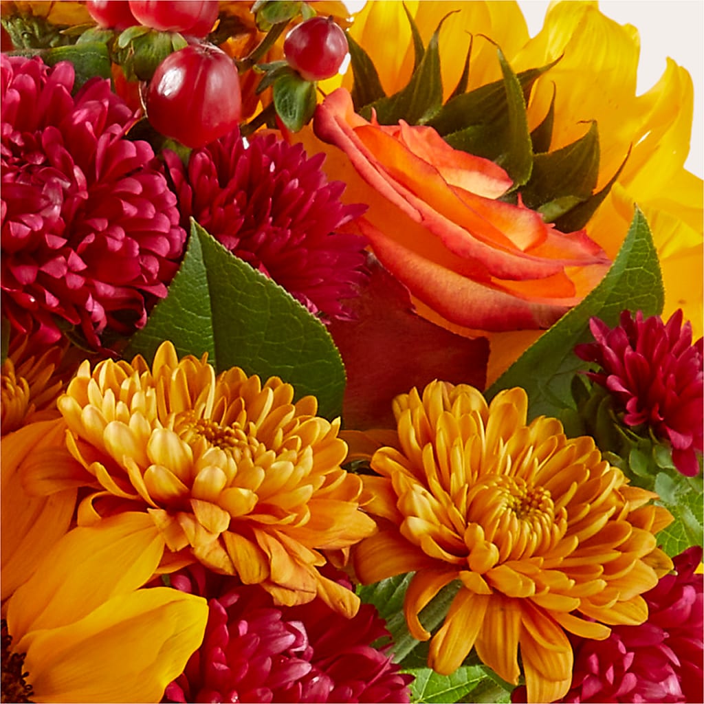 Sweater Season - A Florist Original – SHINKLES' FLOWER SHOP & GREENHOUSE, Temperance MI