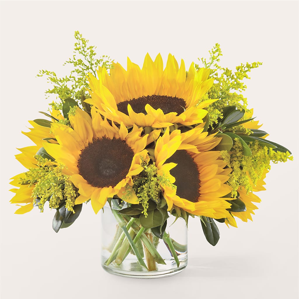 Beaming Sunflower Bouquet – SHINKLES' FLOWER SHOP & GREENHOUSE, Temperance MI