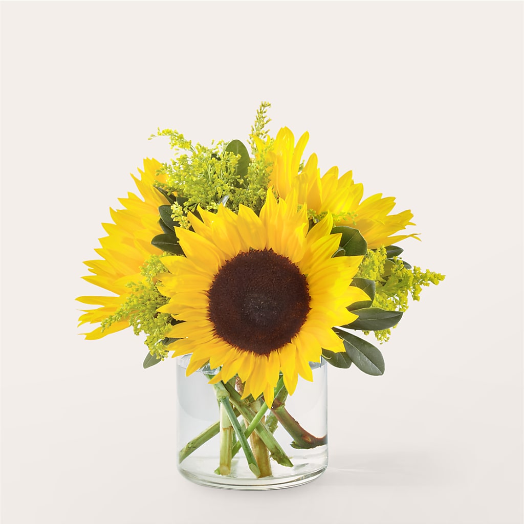 Beaming Sunflower Bouquet – SHINKLES' FLOWER SHOP & GREENHOUSE, Temperance MI