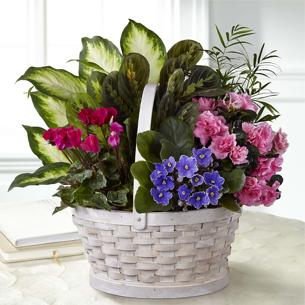 Peaceful Garden Planter – SHINKLES' FLOWER SHOP & GREENHOUSE, Temperance MI