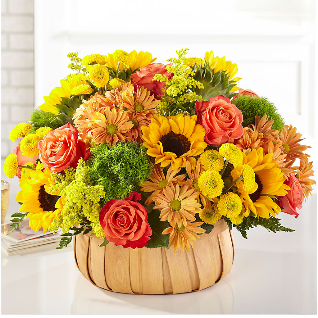 Harvest Sunflower Basket – SHINKLES' FLOWER SHOP & GREENHOUSE, Temperance MI