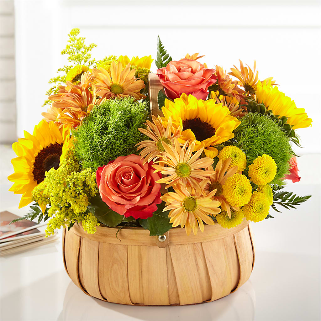 Harvest Sunflower Basket – SHINKLES' FLOWER SHOP & GREENHOUSE, Temperance MI