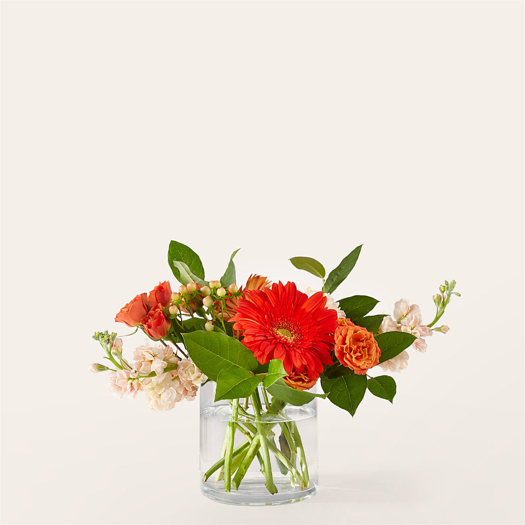 Paloma Please Bouquet – SHINKLES' FLOWER SHOP & GREENHOUSE, Temperance MI