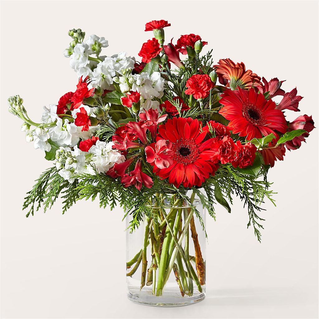 Holidaisy Bouquet – SHINKLES' FLOWER SHOP & GREENHOUSE, Temperance MI
