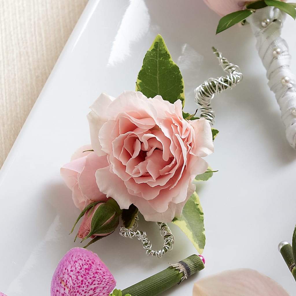 Pink Spray Rose Boutonniere – SHINKLES' FLOWER SHOP & GREENHOUSE, Temperance MI