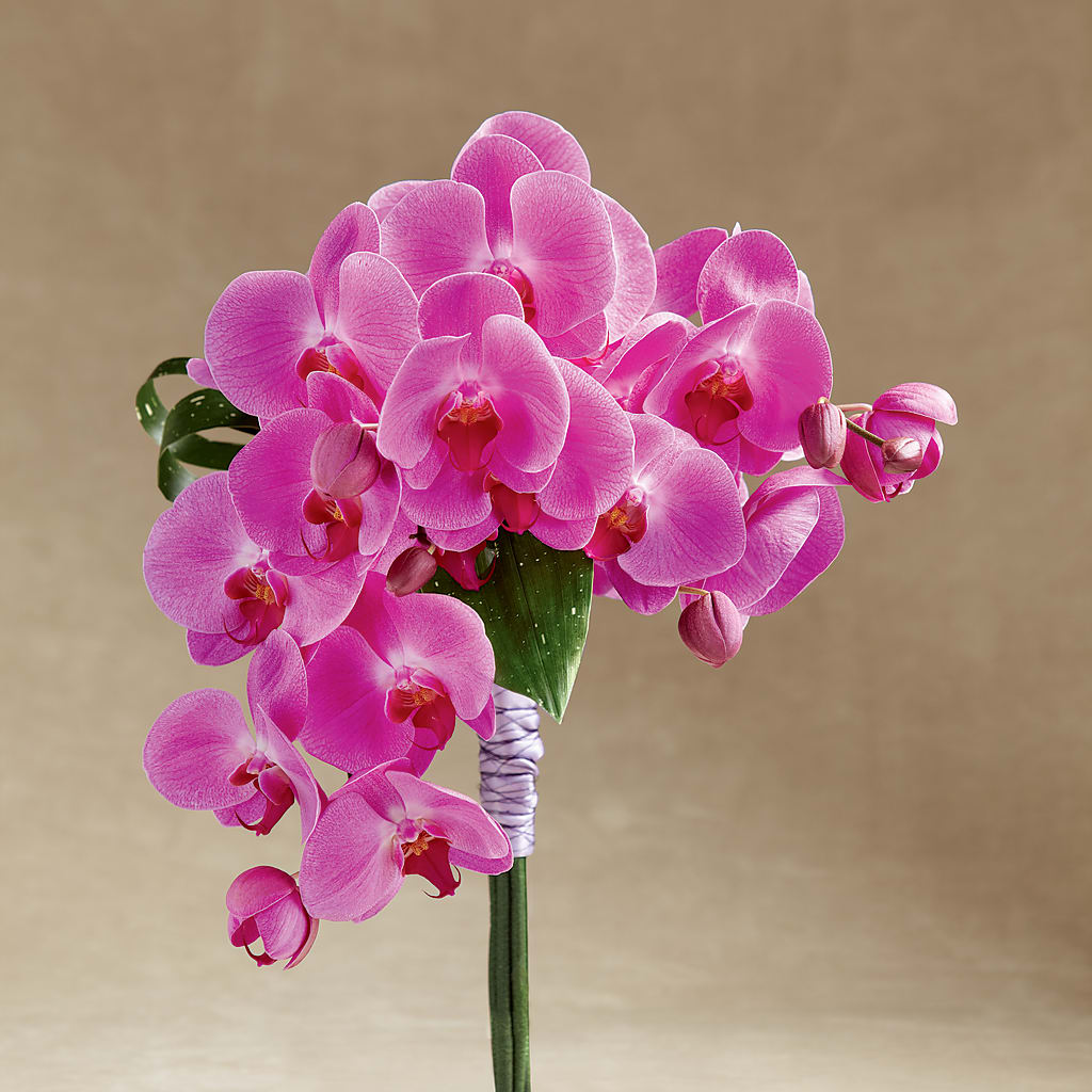 Glorious Bouquet – SHINKLES' FLOWER SHOP & GREENHOUSE, Temperance MI