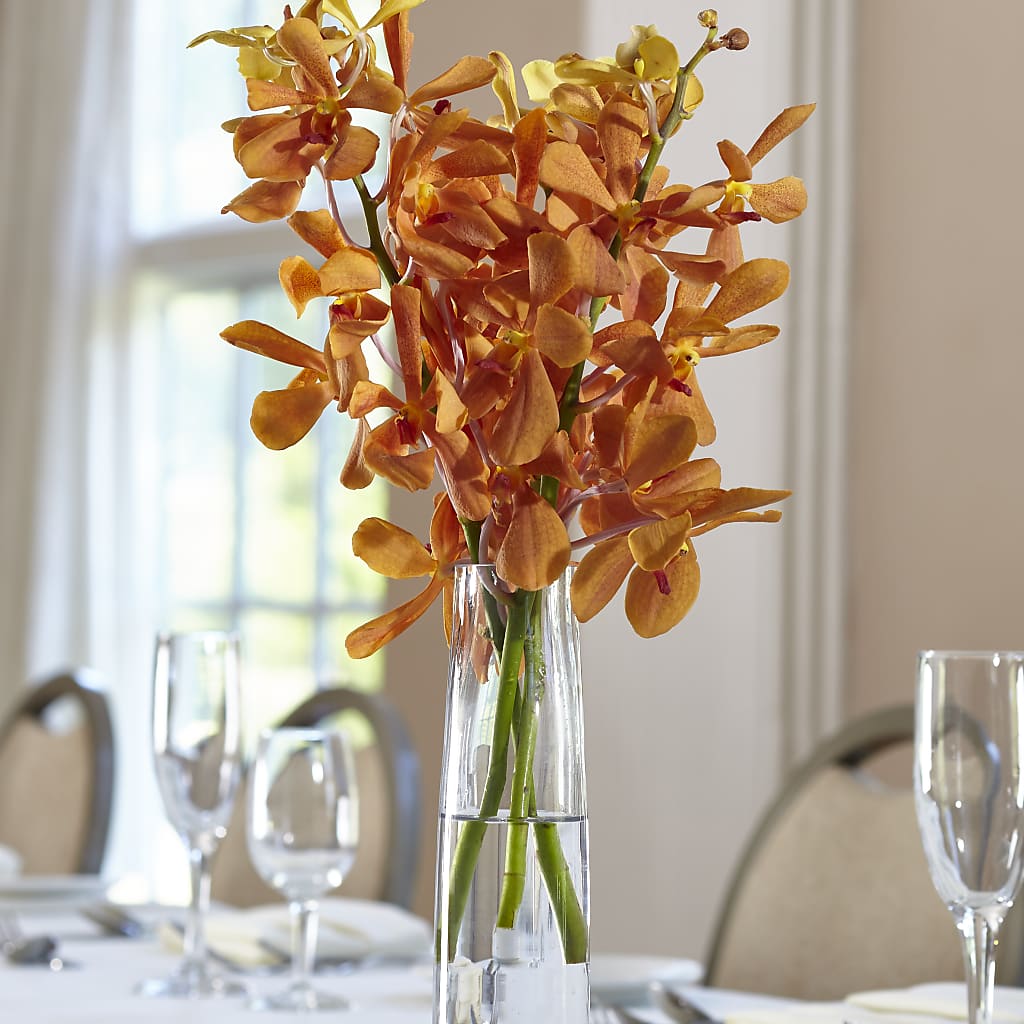 Orange Mokara Bud Vase – SHINKLES' FLOWER SHOP & GREENHOUSE, Temperance MI