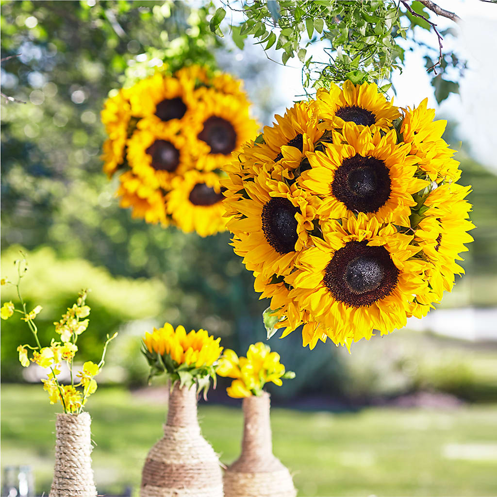 Sublime Garden Hanging Arrangement – SHINKLES' FLOWER SHOP & GREENHOUSE, Temperance MI