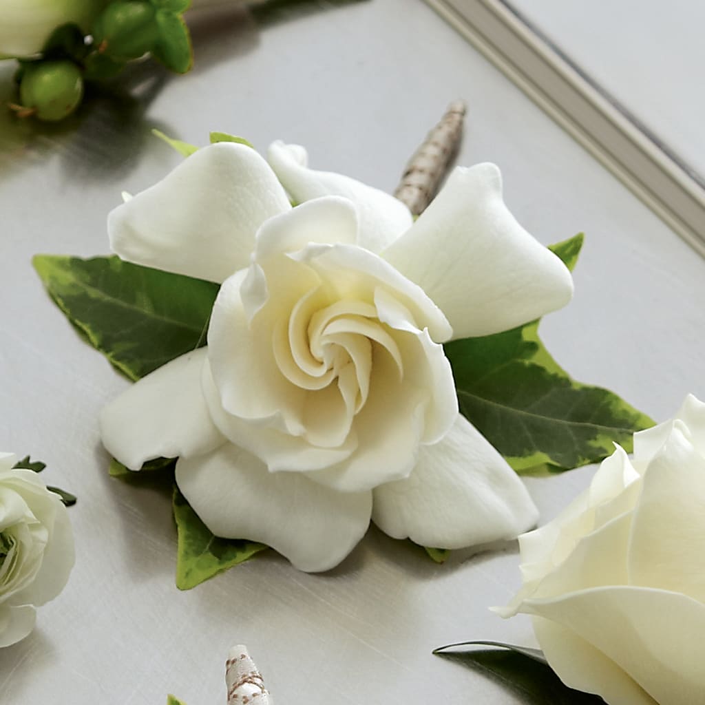 Gardenia Boutonniere – SHINKLES' FLOWER SHOP & GREENHOUSE, Temperance MI