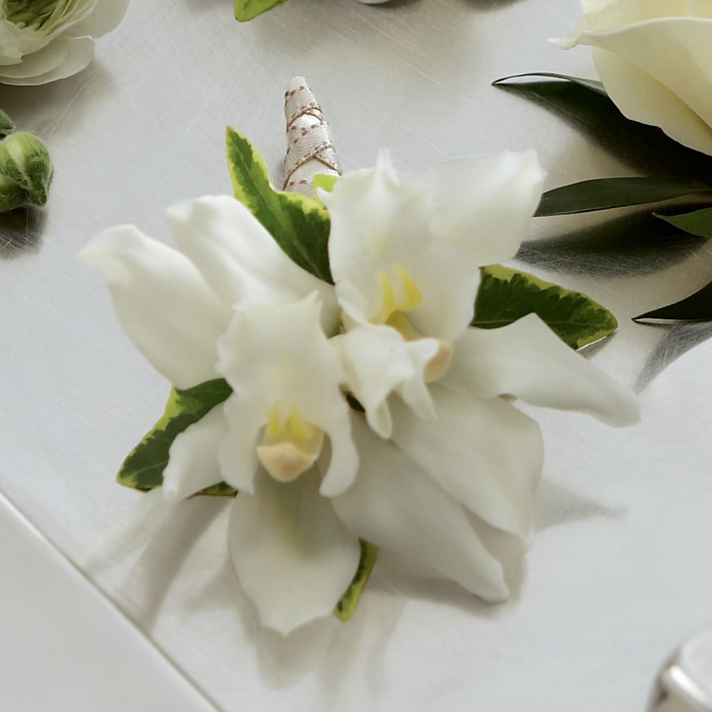 White Mini Cymbidium Boutonniere – SHINKLES' FLOWER SHOP & GREENHOUSE, Temperance MI