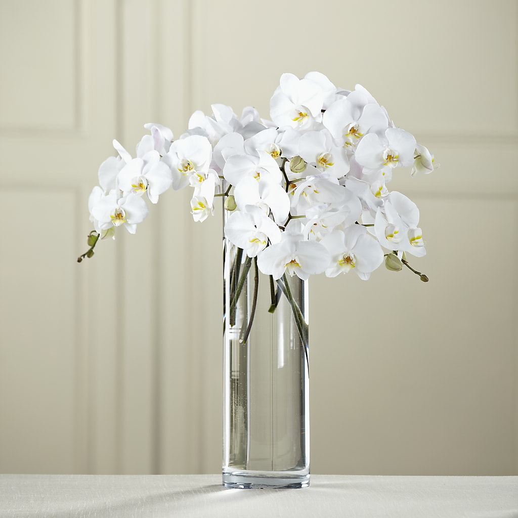 White Phalaenopsis Bouquet – SHINKLES' FLOWER SHOP & GREENHOUSE, Temperance MI