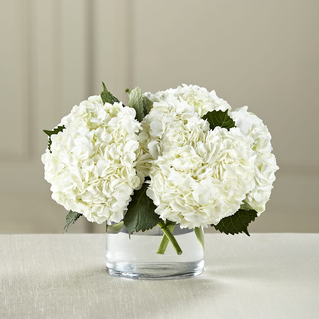 White Hydrangea Bouquet – SHINKLES' FLOWER SHOP & GREENHOUSE, Temperance MI