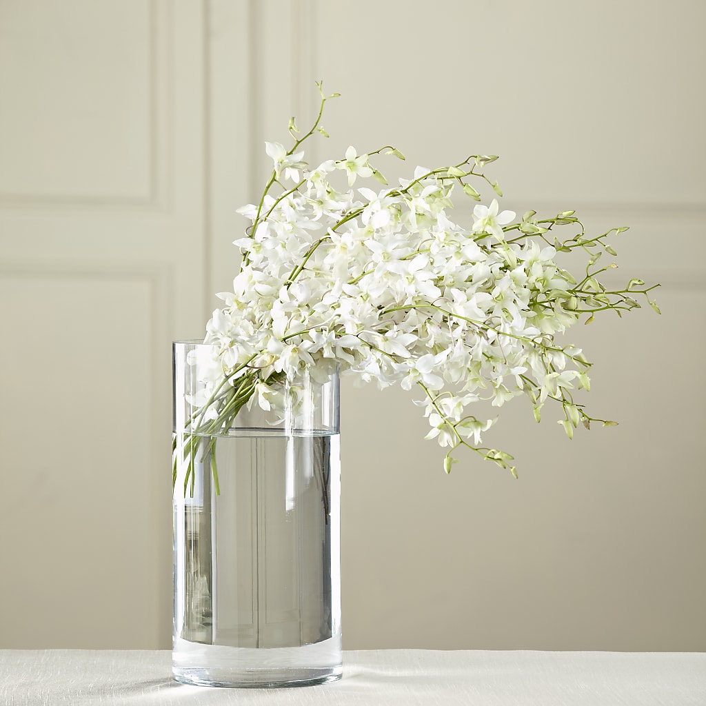 White Dendrobium Bouquet – SHINKLES' FLOWER SHOP & GREENHOUSE, Temperance MI