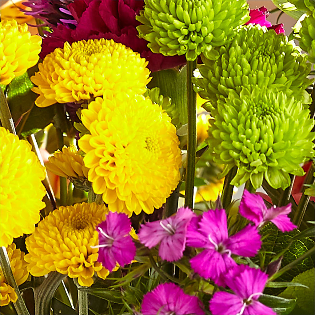 Bold & Bright – A Florist Original – SHINKLES' FLOWER SHOP & GREENHOUSE, Temperance MI