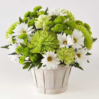 Lucky Charm Basket (Standard) – SHINKLES' FLOWER SHOP & GREENHOUSE, Temperance MI
