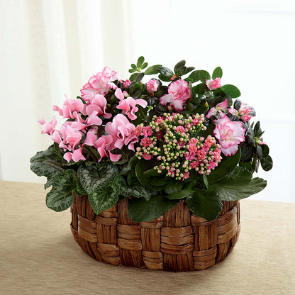 Pink Assortment – SHINKLES' FLOWER SHOP & GREENHOUSE, Temperance MI