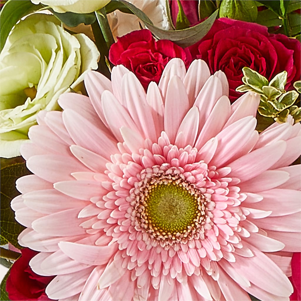 Too Cute Bouquet – SHINKLES' FLOWER SHOP & GREENHOUSE, Temperance MI