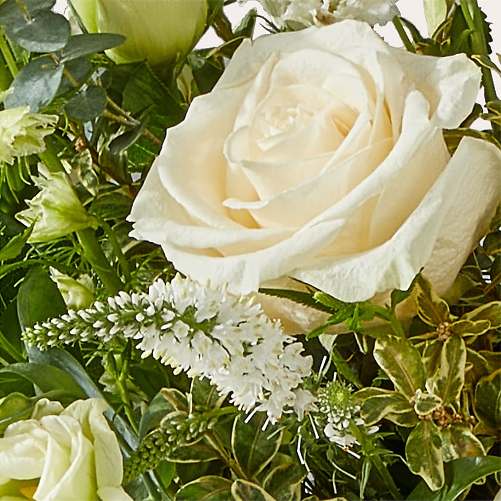 Cashmere Bouquet – SHINKLES' FLOWER SHOP & GREENHOUSE, Temperance MI