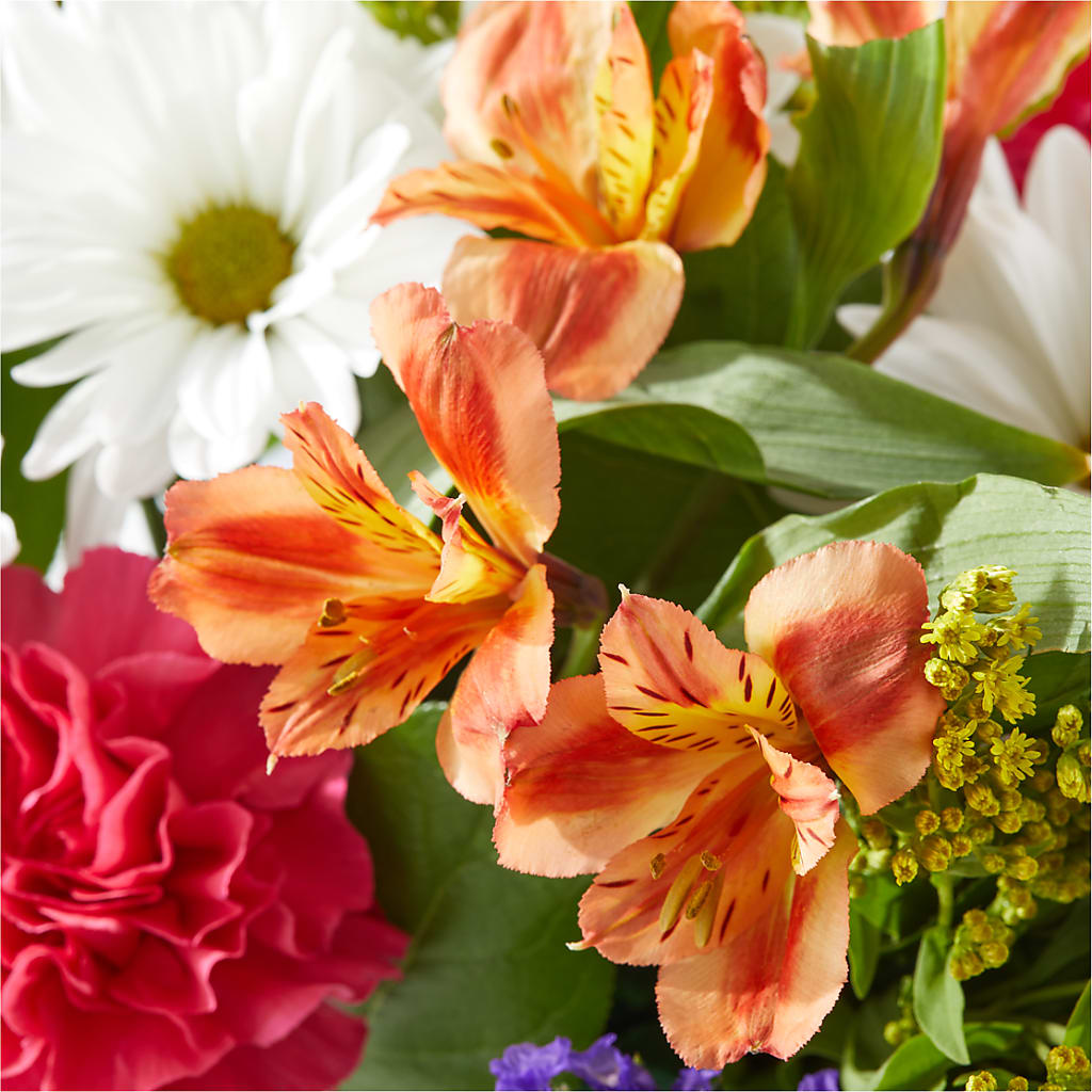 Oopsie Daisy Box Bouquet – SHINKLES' FLOWER SHOP & GREENHOUSE, Temperance MI