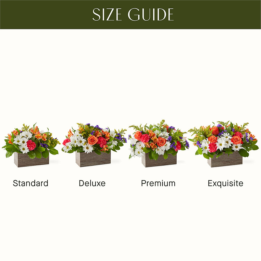 Oopsie Daisy Box Bouquet – SHINKLES' FLOWER SHOP & GREENHOUSE, Temperance MI
