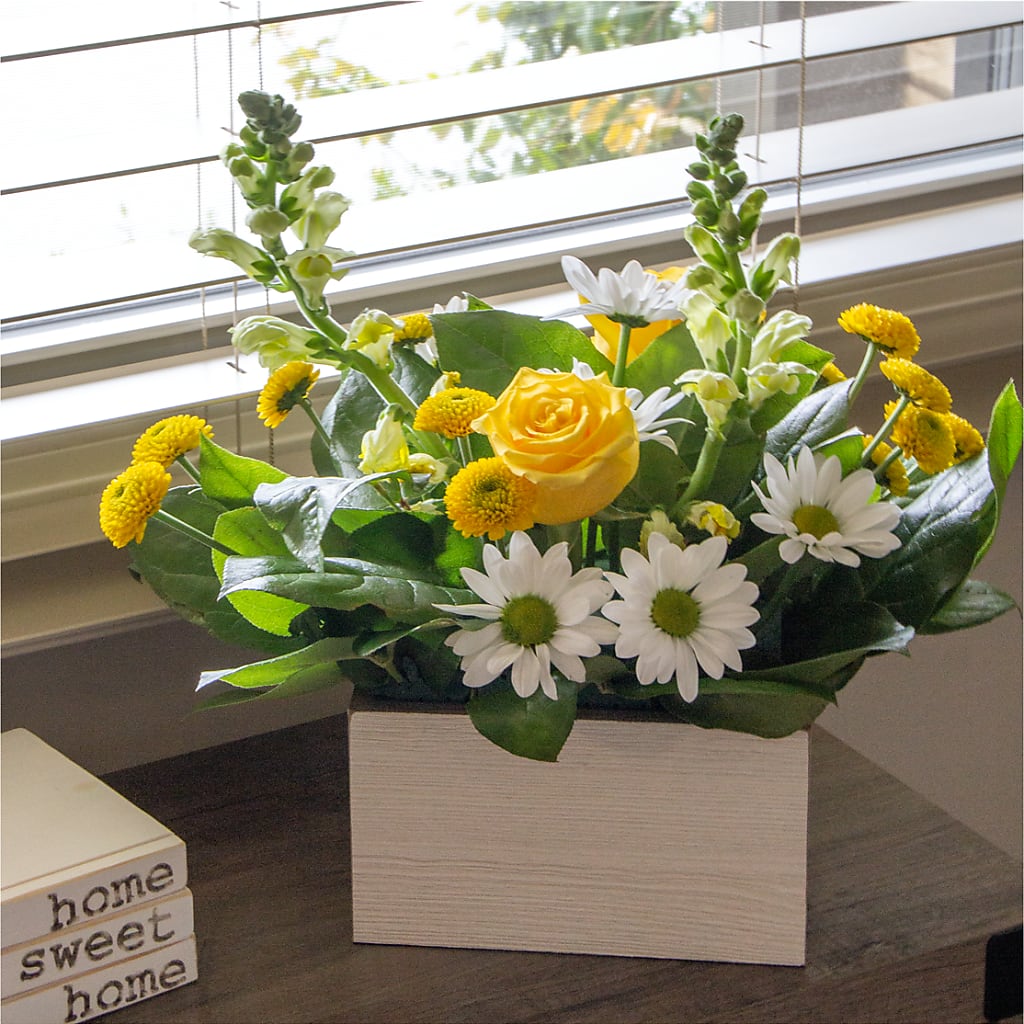 Sun Salutation Box Bouquet – SHINKLES' FLOWER SHOP & GREENHOUSE, Temperance MI