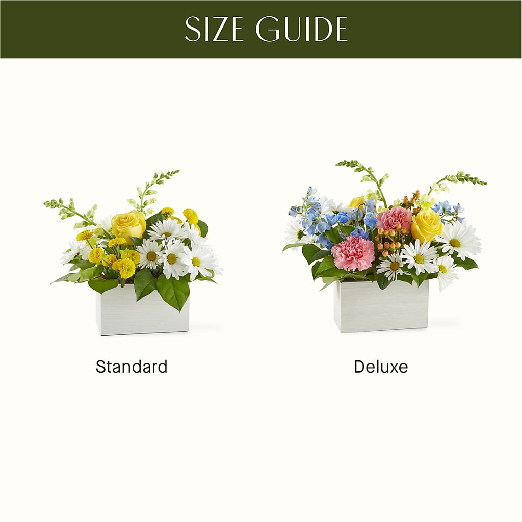 Sun Salutation Box Bouquet – SHINKLES' FLOWER SHOP & GREENHOUSE, Temperance MI