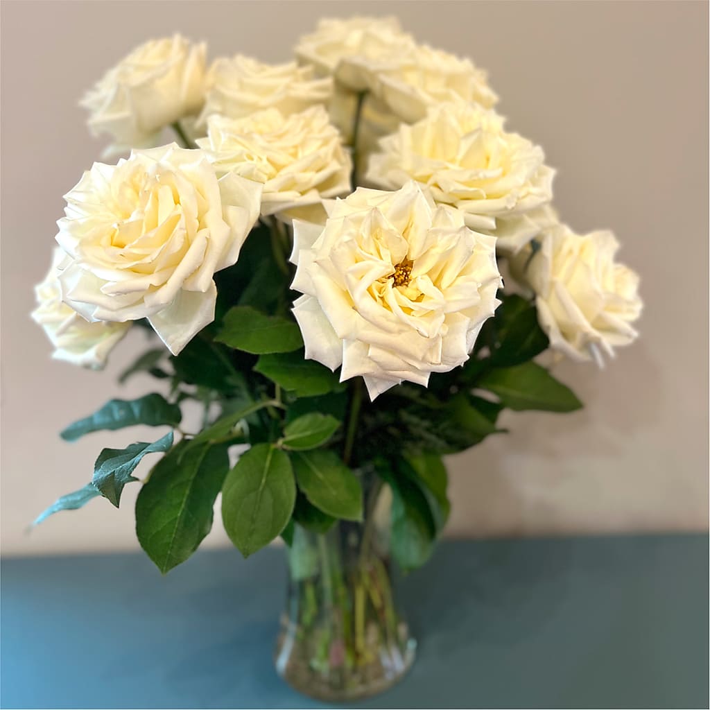 Long Stem Yellow Rose Bouquet – SHINKLES' FLOWER SHOP & GREENHOUSE, Temperance MI
