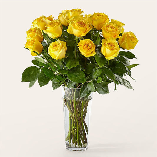 Long Stem Yellow Rose Bouquet – SHINKLES' FLOWER SHOP & GREENHOUSE, Temperance MI