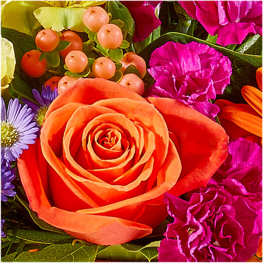 Tricks & Treats Pumpkin – SHINKLES' FLOWER SHOP & GREENHOUSE, Temperance MI