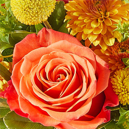 Gourdgeous Pumpkin – SHINKLES' FLOWER SHOP & GREENHOUSE, Temperance MI