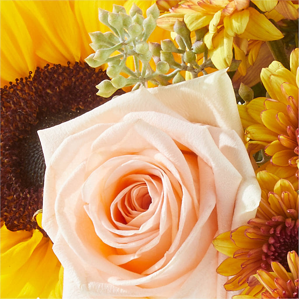 Pumpkin to Talk About Bouquet – SHINKLES' FLOWER SHOP & GREENHOUSE, Temperance MI