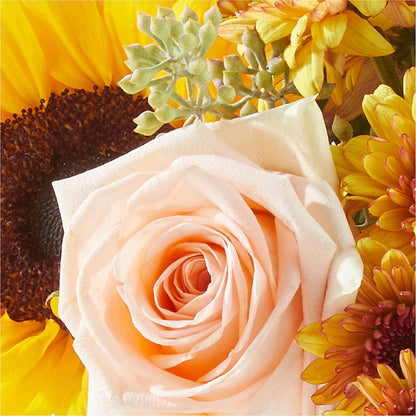 Pumpkin to Talk About Bouquet – SHINKLES' FLOWER SHOP & GREENHOUSE, Temperance MI