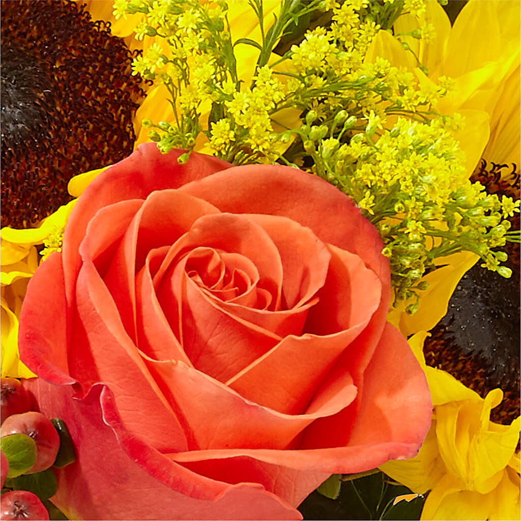 Pick of the Patch Pumpkin Bouquet – SHINKLES' FLOWER SHOP & GREENHOUSE, Temperance MI