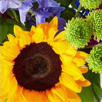 Catching Rays Bouquet – SHINKLES' FLOWER SHOP & GREENHOUSE, Temperance MI