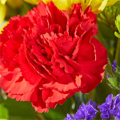 Brighter Days Bouquet – SHINKLES' FLOWER SHOP & GREENHOUSE, Temperance MI