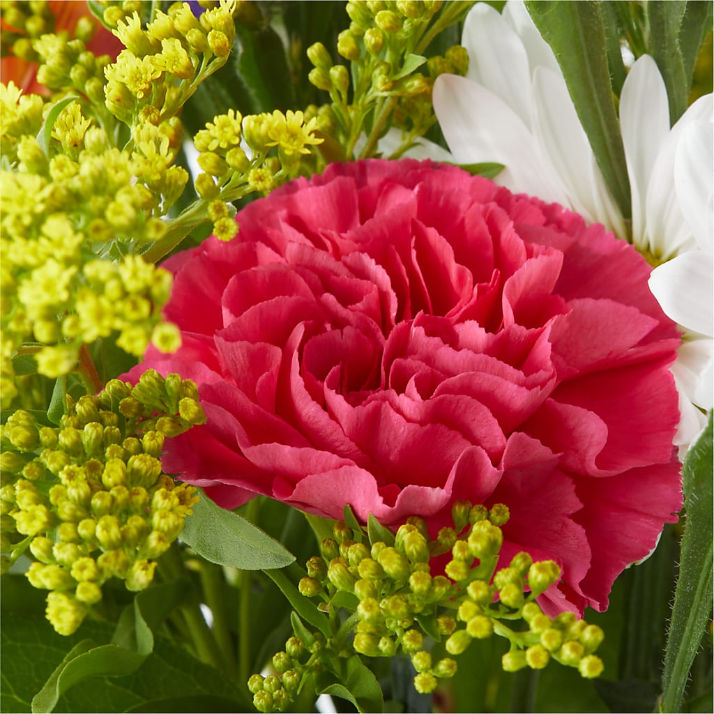 Oopsie Daisy Bouquet – SHINKLES' FLOWER SHOP & GREENHOUSE, Temperance MI