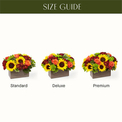 Happy Harvest Garden – SHINKLES' FLOWER SHOP & GREENHOUSE, Temperance MI