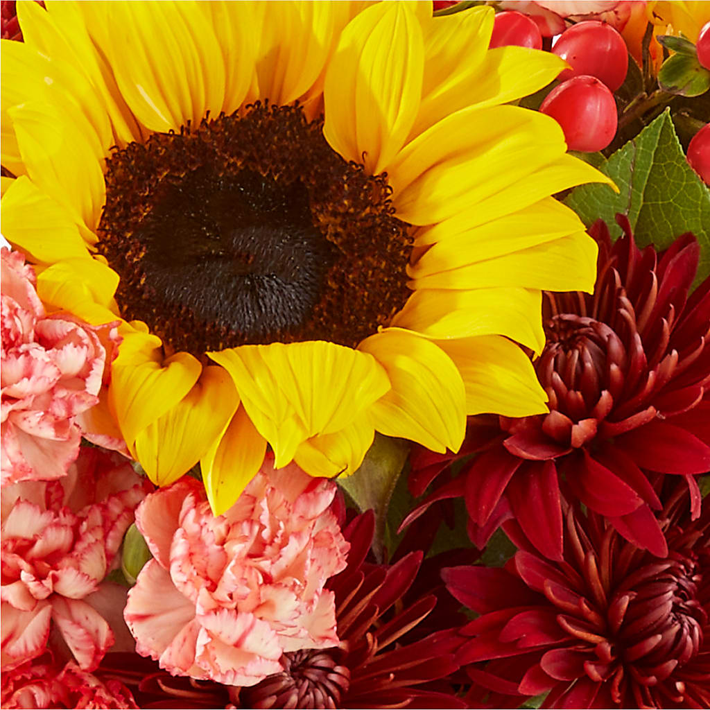 Fresh Cider Bouquet – SHINKLES' FLOWER SHOP & GREENHOUSE, Temperance MI