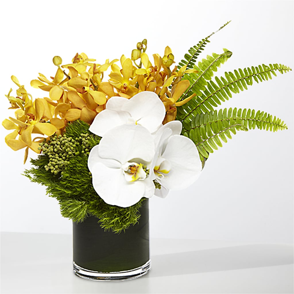 The Tropics – SHINKLES' FLOWER SHOP & GREENHOUSE, Temperance MI
