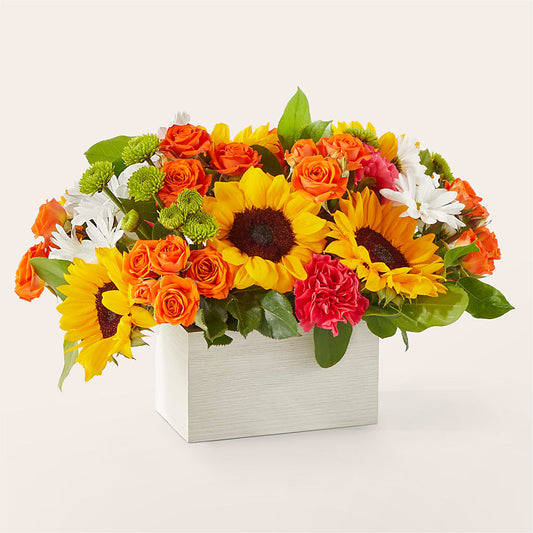 Sun-drenched Blooms Box Bouquet – SHINKLES' FLOWER SHOP & GREENHOUSE, Temperance MI