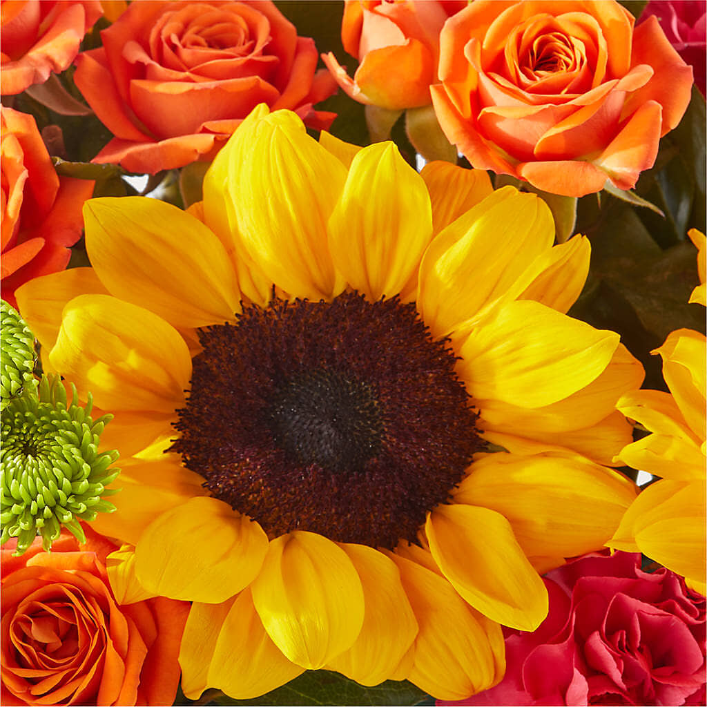 Sun-drenched Blooms Box Bouquet – SHINKLES' FLOWER SHOP & GREENHOUSE, Temperance MI