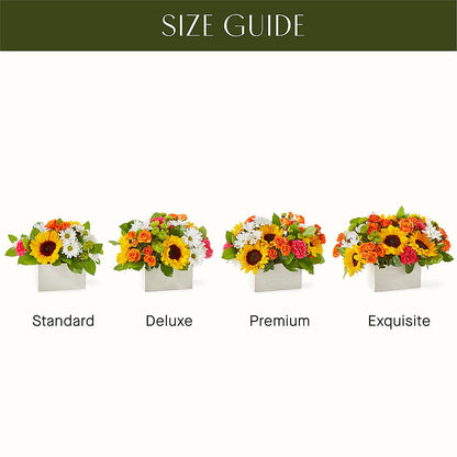 Sun-drenched Blooms Box Bouquet – SHINKLES' FLOWER SHOP & GREENHOUSE, Temperance MI